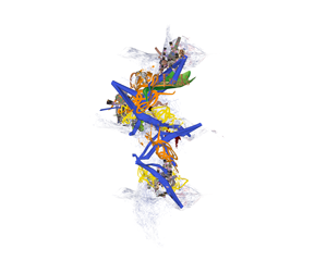 ©François Martinache - Vidéos Double Irish - Control Freaks V4 - Animation 3D - 2014