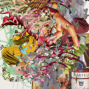 ©François Martinache - Signal - Signal 4 - Tirage Epson sur papier Ultra Smooth - 90x120cm - 2014
