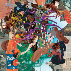 ©François Martinache - Pure player - Pure player 2 - Image numérique - 2015