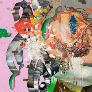 ©François Martinache - Pure player - Pure player 11 - Image numérique - 2015