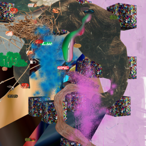 ©François Martinache - Images inédites - Sans-Titre 11.1 - Image numérique - 2015