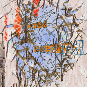 ©François Martinache - Images inédites - Sans-Titre 15.15 - Image numérique - 2010