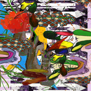 ©François Martinache - Images inédites - Sans-Titre 11.3 - Image numérique - 2007
