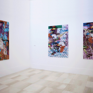 ©François Martinache - Exposition personnelle - Siège de la Banque Populaire du Nord, Marcq en Baroeul - 2009