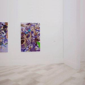 ©François Martinache - Exposition personnelle - Siège de la Banque Populaire du Nord, Marcq en Baroeul - 2009