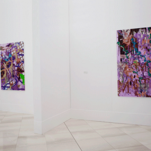 ©François Martinache - Exposition personnelle - Siège de la Banque Populaire du Nord, Marcq en Baroeul - 2009