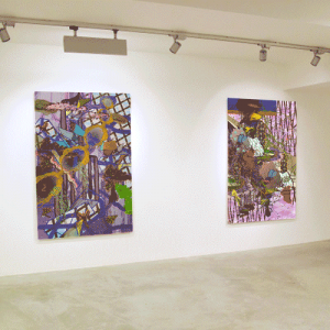 ©François Martinache - Exposition personnelle - Galerie Rasson, Tournai - 2012