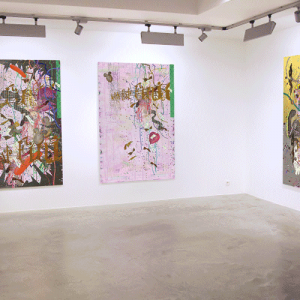 ©François Martinache - Exposition personnelle - Galerie Rasson, Tournai - 2012