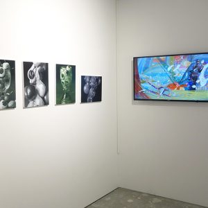 ©François Martinache - Stand de la Galerie Estace- Bâle 2016