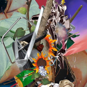 ©François Martinache - Digital Disruption - Digital Disruption 24 - Image numérique - 2018